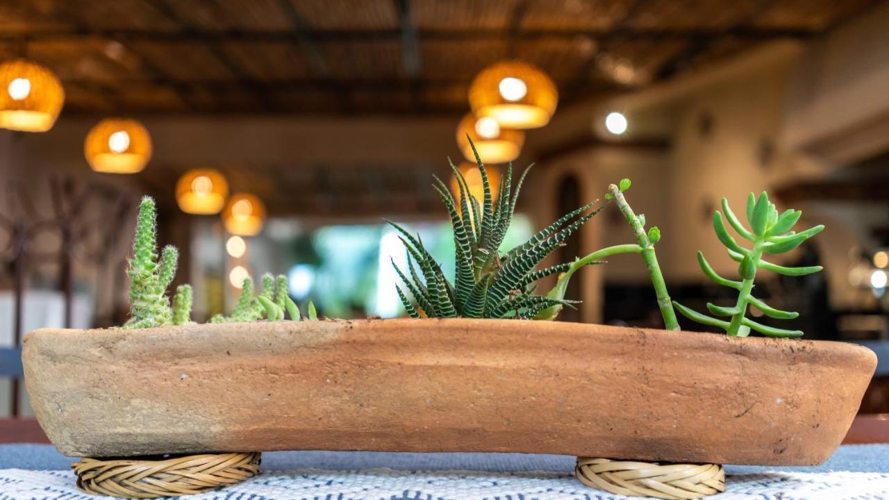 Casa Los Cantaros Hotel Boutique Oaxaca Ngoại thất bức ảnh