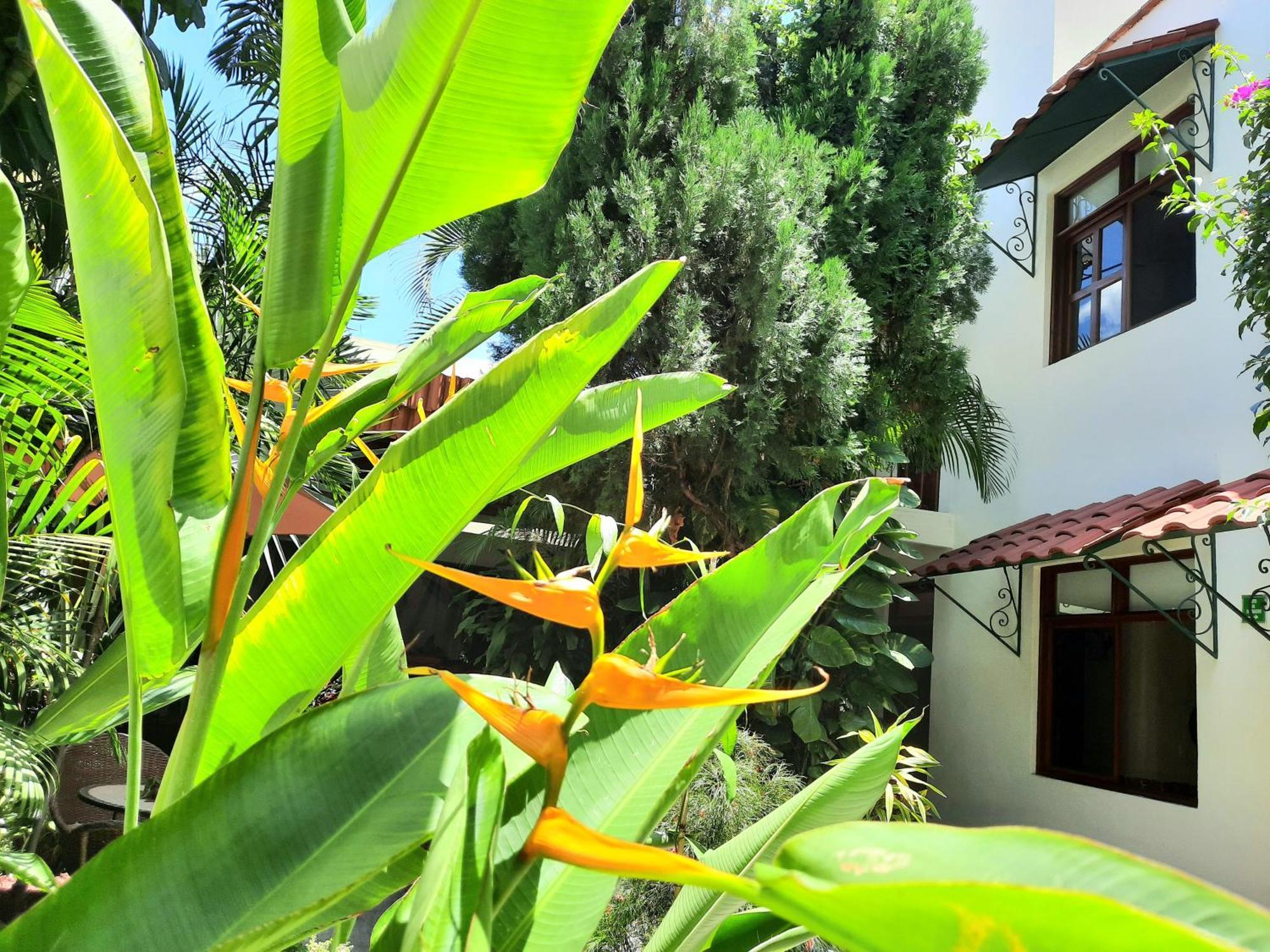 Casa Los Cantaros Hotel Boutique Oaxaca Ngoại thất bức ảnh