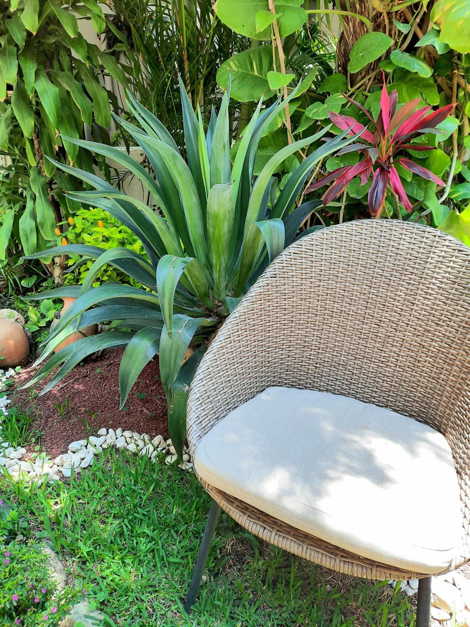 Casa Los Cantaros Hotel Boutique Oaxaca Ngoại thất bức ảnh