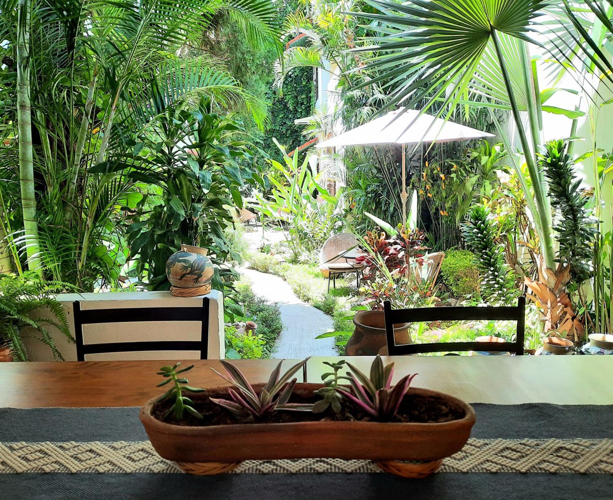 Casa Los Cantaros Hotel Boutique Oaxaca Ngoại thất bức ảnh